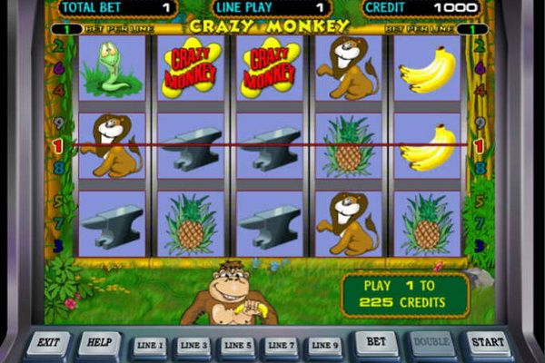 Игровые автоматы с тропической тематикой: игры для тех, кто жаждет приключений!